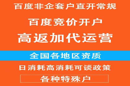 专业百度竞价代运营，助力企业高效获客
